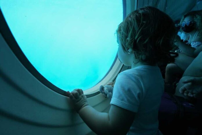 Honolulu,,Hawaii,-,February,10,,2022,:,Toddler,Girl,Observing