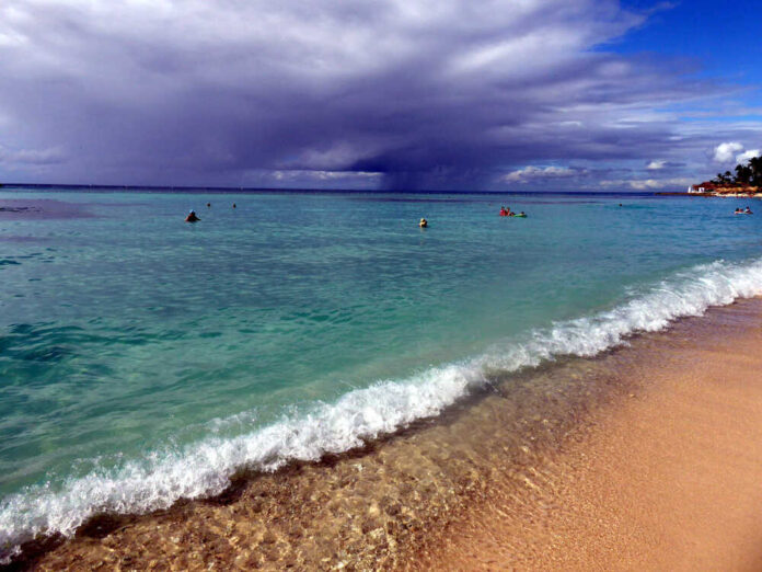 Beach,Coastline,At,Beautiful,Carribian,Beach,In,Dominican,Republic,Background