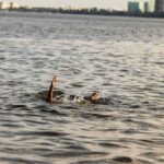 Paris Polluted River Plagues Triathletes
