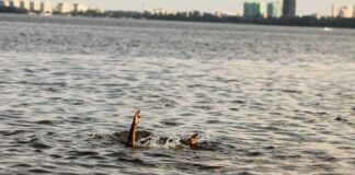 Paris Polluted River Plagues Triathletes