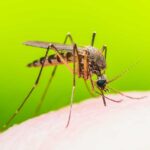 Local Towns Enforce New Rules Amid Health Concerns Local Towns Enforce New Rules Amid Health Concerns