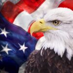 Wildlife Trafficking Ring Uncovered After Killing 118 Eagles Eagles