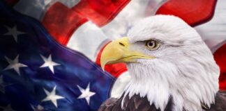 Eagles