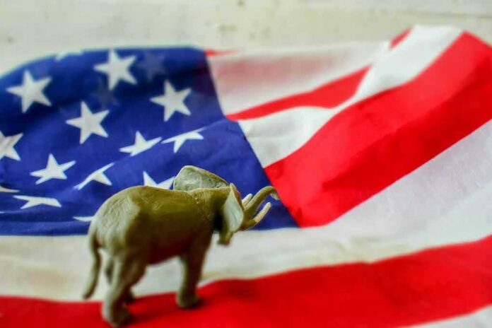 1814479316 featured image Elephant figurine on an American flag background