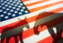 Donkey and elephant shadows on American flag.