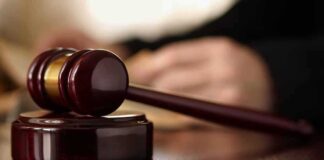 Gavel resting on a wooden sound block