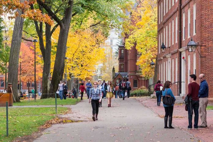 193437935 featured image People walking on a college campus in autumn