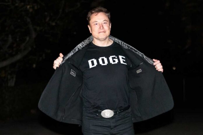 2596219333 featured image Elon Musk in DOGE shirt