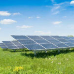 Solar panels in a grassy field under blue sky