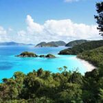 Scenic view of a tropical beach with clear blue water and lush greenery