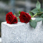 Another Kennedy Dead at 35 – Family Curse Strikes Red roses on a gray stone surface.