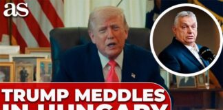 Trump Endorses CONTROVERSIAL Leader — EU Explodes
