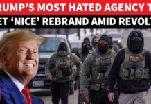 Trump Considers ICE Rebranding To This