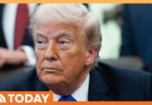 Trump's Comments On Gas Prices Will Leave You Fuming