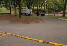 Police identify 21-year-old killed in shooting at Bronx playground