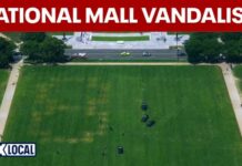 Chilling Code Found on National Mall Lawn! '86 47' appears on National Mall, US park police investigating