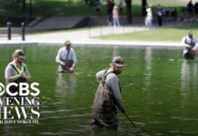 Trump BLASTS Reflecting Pool Vandals! Reflecting Pool turns green after millions poured into renovations
