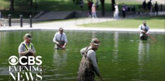 Reflecting Pool turns green after millions poured into renovations