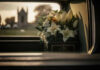 Hollywood Icon Passes Suddenly – Family SHUTS DOWN Rumor White flowers in a car with blurred background.