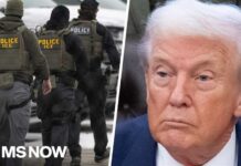 NYT: FBI will no longer investigate ICE confrontations