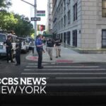 Suspect identified in Upper West Side double stabbing