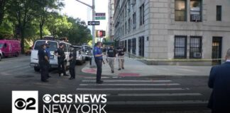 Suspect identified in Upper West Side double stabbing