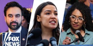 Democratic socialists stage 'hard-left' insurgency in NY primary