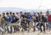 Group of people walking past barbed wire