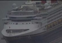 11 Cruise Crew Busted – Hauled Off Ship Disney Cruise crewmembers detained as part of child porn probe: CBP | NBC 7 San Diego