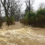 State of Emergency – Hill Country DROWNS Overnight Flooded residential street with fast-moving muddy water