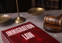 Immigration law book with gavel and scales
