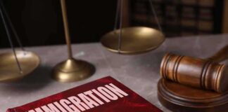 Immigration law book with gavel and scales