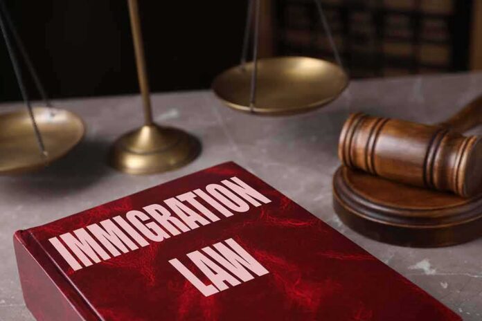 Immigration law book with gavel and scales