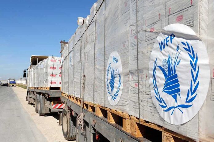 Humanitarian aid trucks loaded with palletized supplies