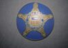 United States Secret Service badge emblem on blue background